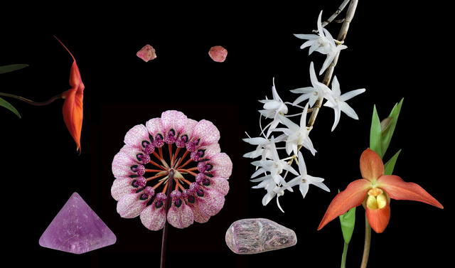 Being Within Combination Essence