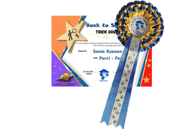 Back to School - Advanced