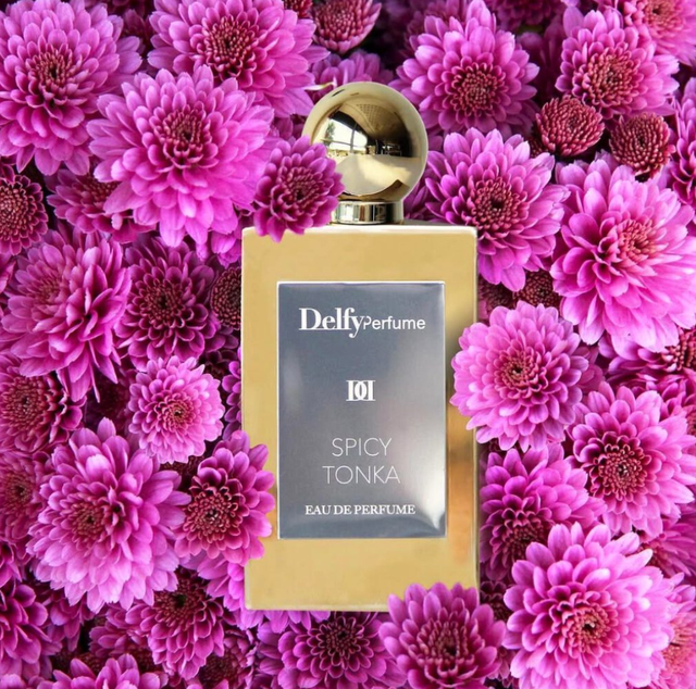 Delfy - Spicy Tonka 50ML 