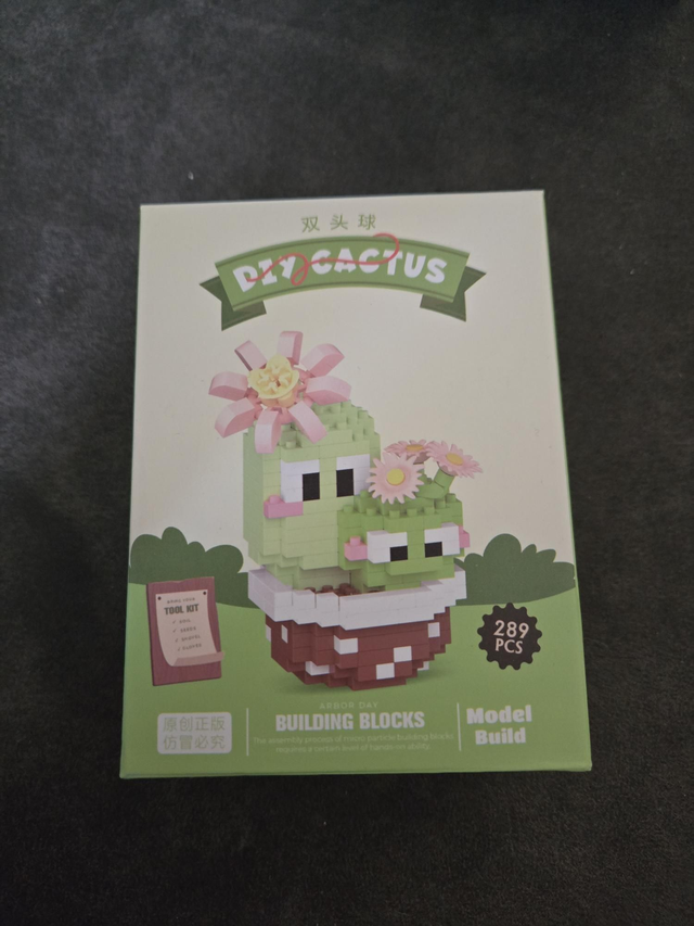 Micro Cactus 1