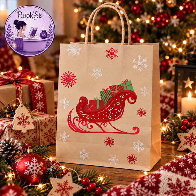 Sac cadeau Noël 27x21x11 cm