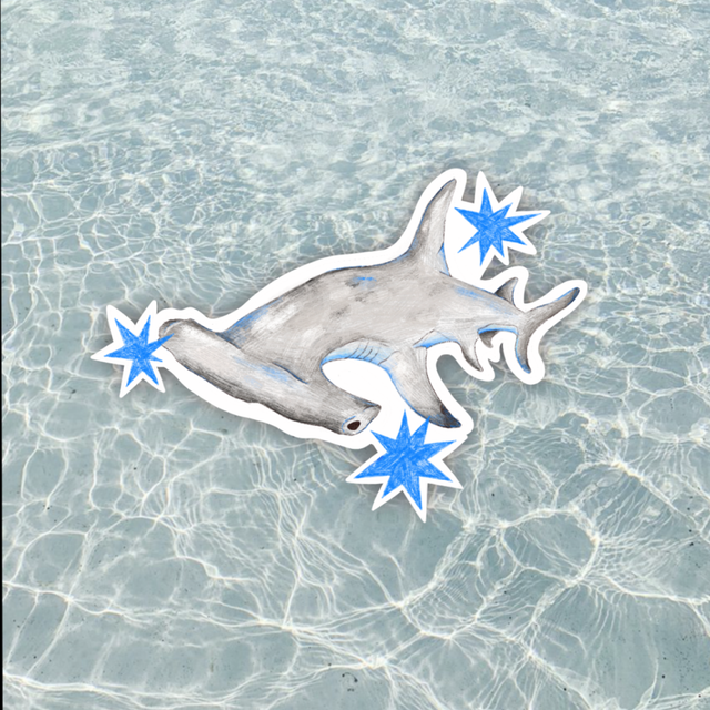 sticker requin marteau