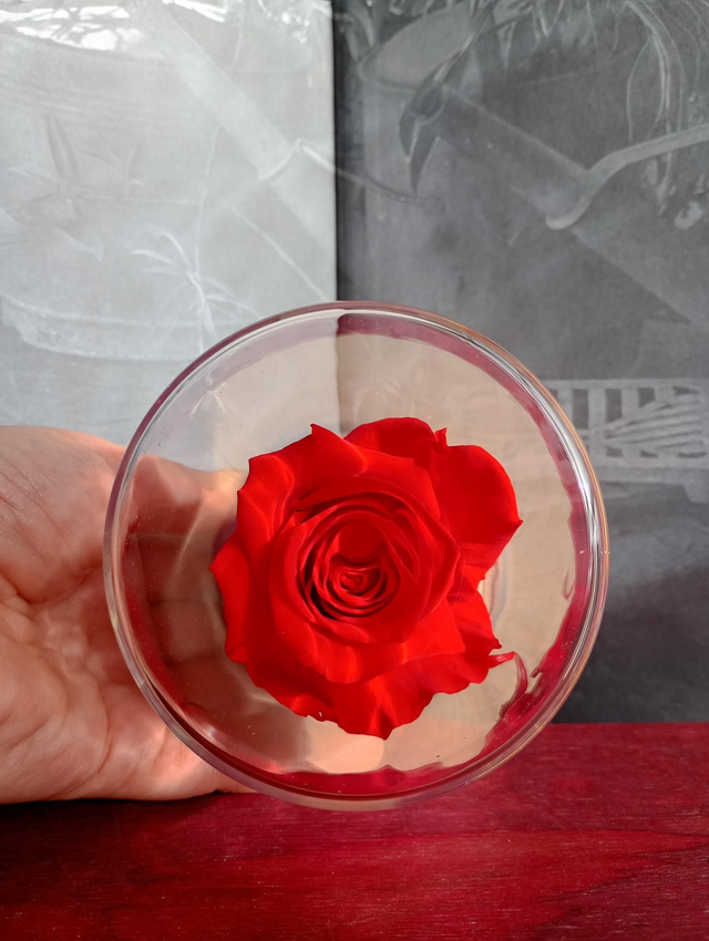 S05 unique rose rouge