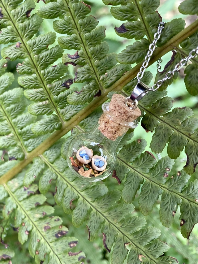 Pendentif champignon nid d&#039;oiseaux