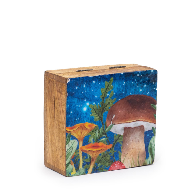 Mushroom Storage Box  - Teal 