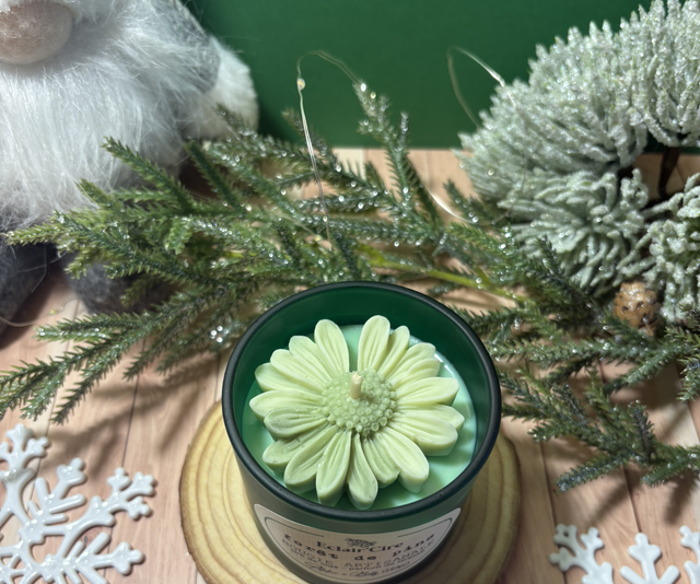 ForĂȘt de pins đČ - 93gr