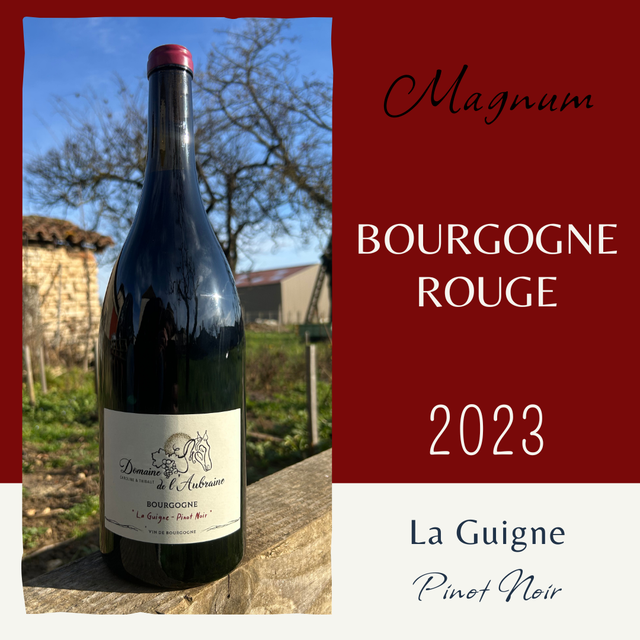 MAG La Guigne 2023