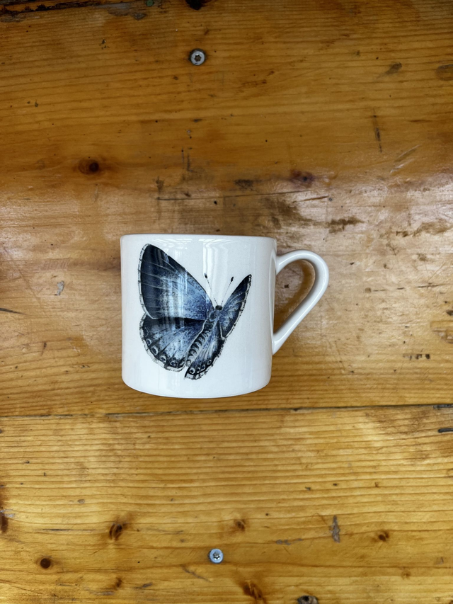 Tasse klassisch klein Bläuling