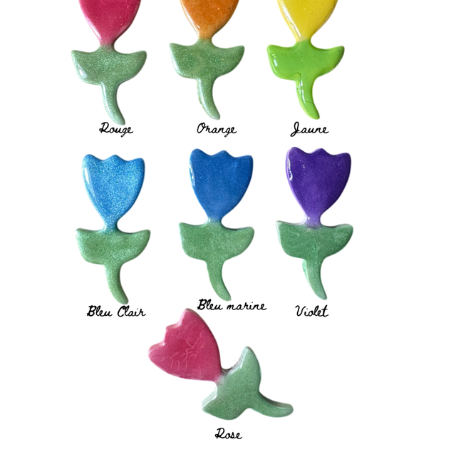 Cadre photo identité avec magnet interchangeable