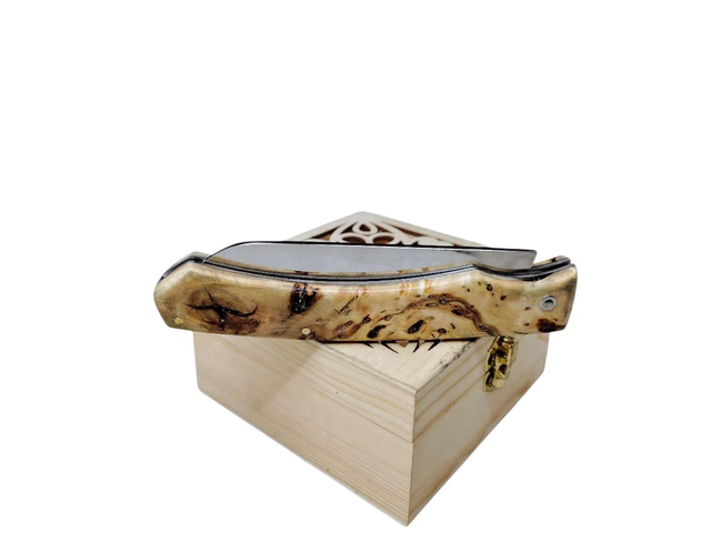 L&#039;Ambacien ®️ inox - Loupe de bouleau 