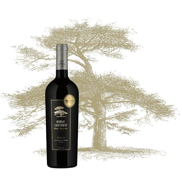 Caja Syrah Gran Reserva - 6 UN