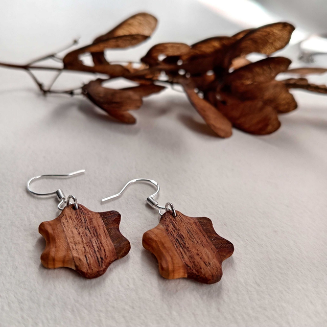 Boucles d&#039;oreilles