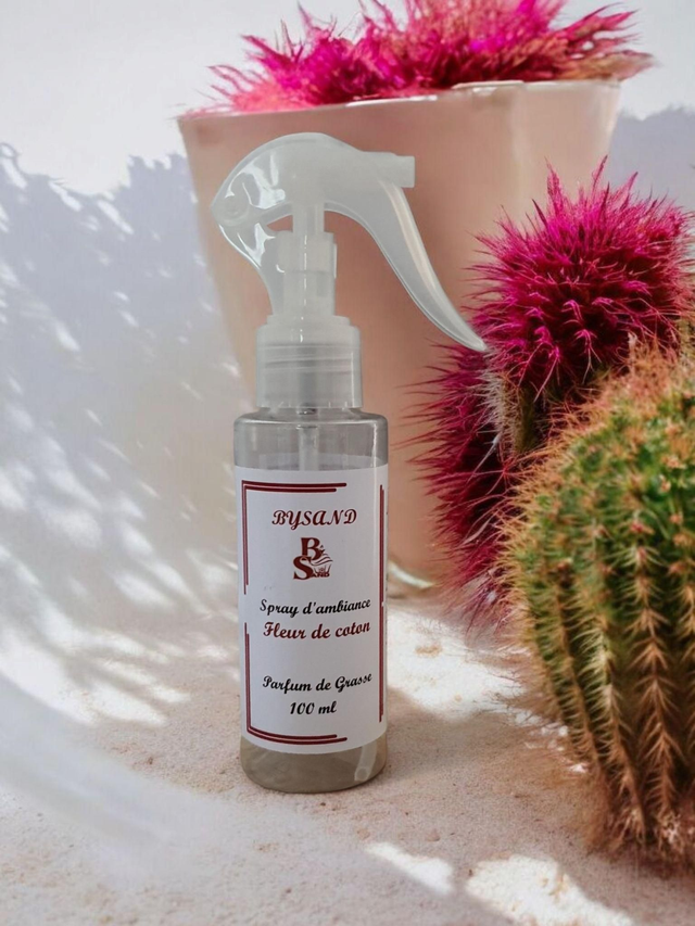 Spray d'ambiance              100ml 