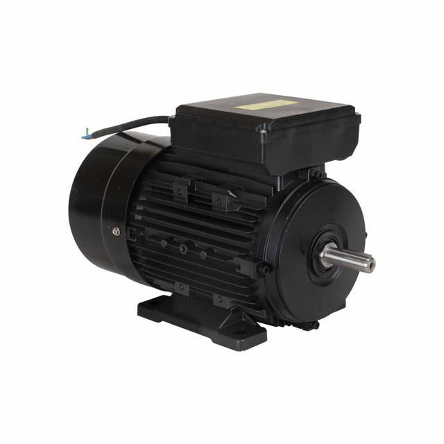 YL90L-2 MOTOR ELETR. MONO LYNUS 3,0CV 2P IP55 BIVOLT