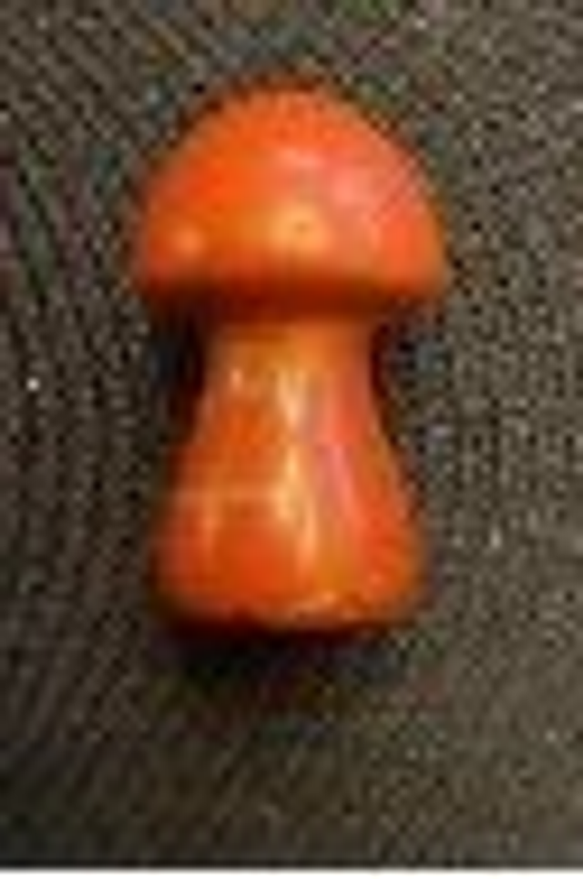 Champignon en Jaspe rouge