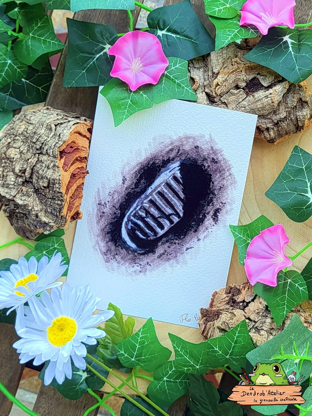 Un petit pas pour l'Homme...