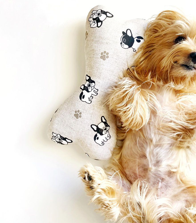 Baby Dogs | Almofada Osso