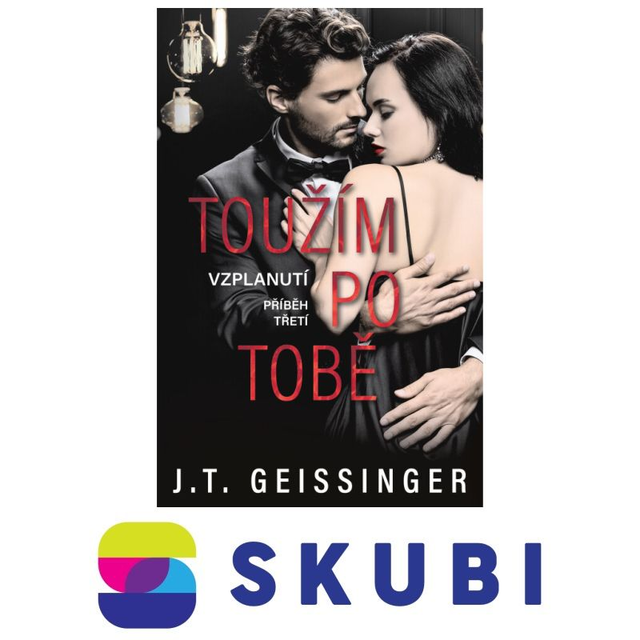 Kniha Toužím po tobě - J. T. Geissinger