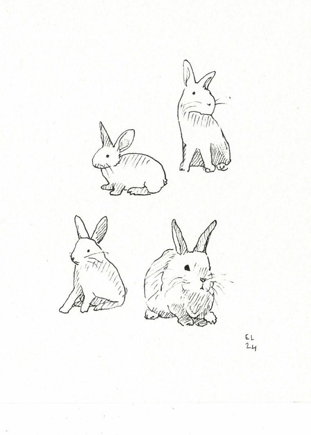 Lapins