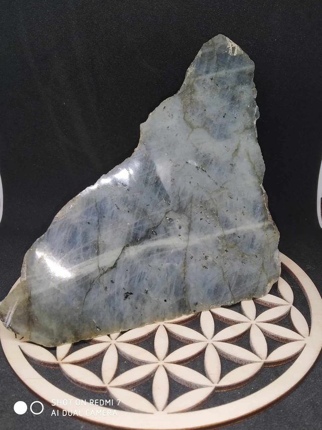 Labradorite 1 face polie 1 face brute 700gr 