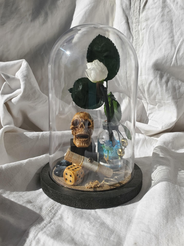 D03 pirate fleur blanche