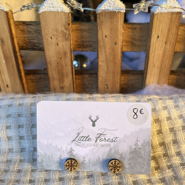 Clous d’oreilles • Différents modèles 