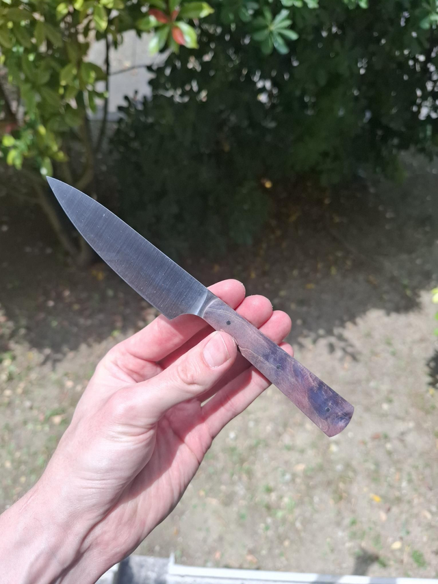 Office - Loupe d’érable stabilisée violet