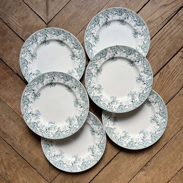 6 assiettes en terre de fer Saint-Amand décor Régine