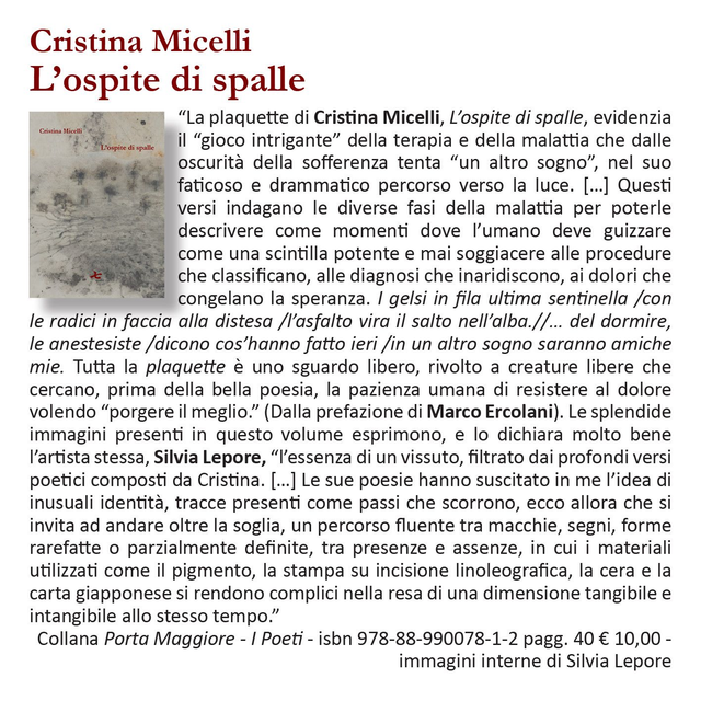 Cristina Micelli, "L'ospite di spalle", qudulibri 2020
