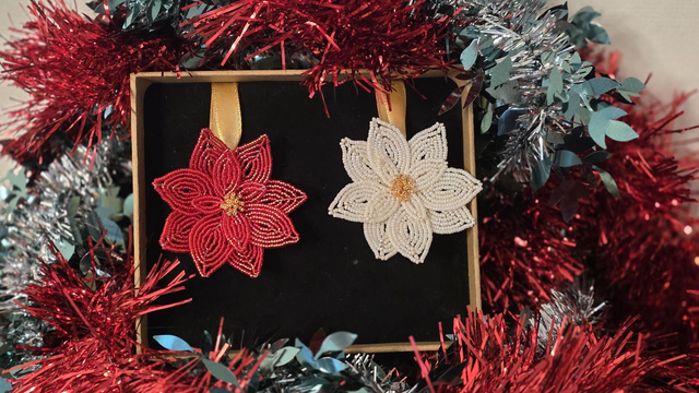 Coffret Suspensions Poinsettias