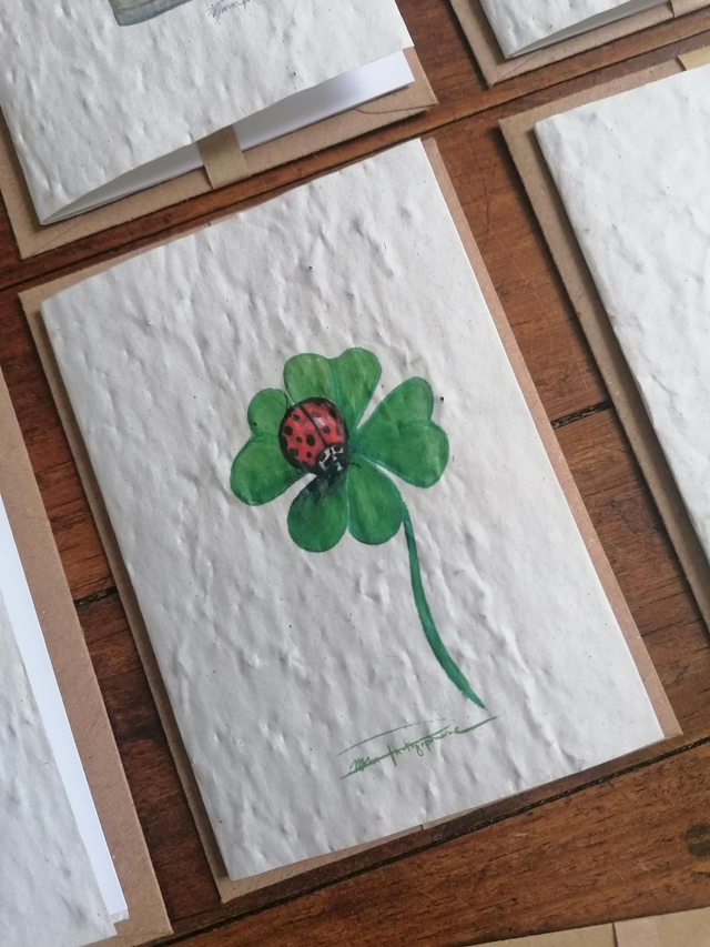 Carte à planter thème Coccinelle 