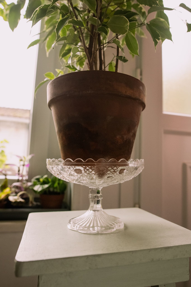 Compotier, présentoir en verre ✨