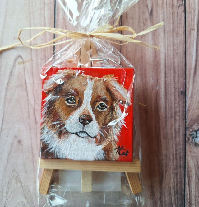 peinture berger australien