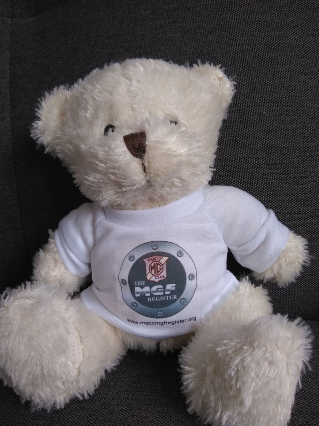 ***New*** MGF Register Teddy Bear 