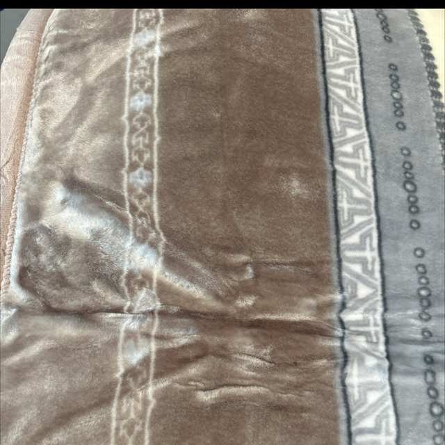 Couvertures polaire 4 kg doublé 200/240 fleurs/vert clairs 