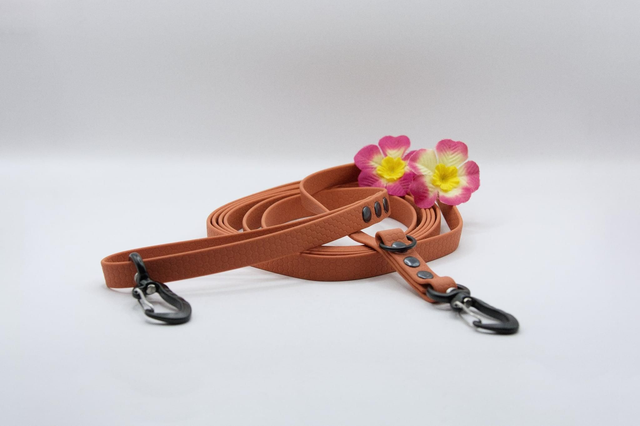 Laisse Hexa 2 positions – Ville & promenades (pour les moyens et grands chiens)