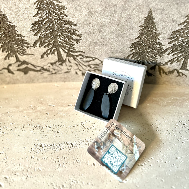 Boucles d'Oreilles Ébène &amp; Acier Argenté Ovales 