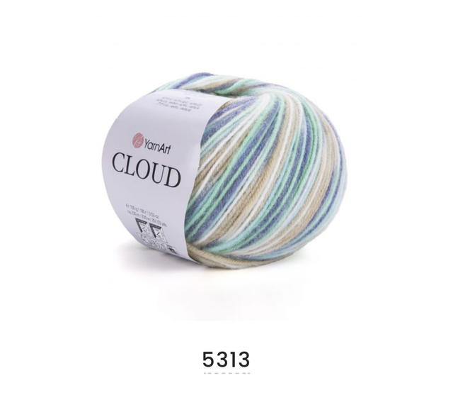 Cloud 5313