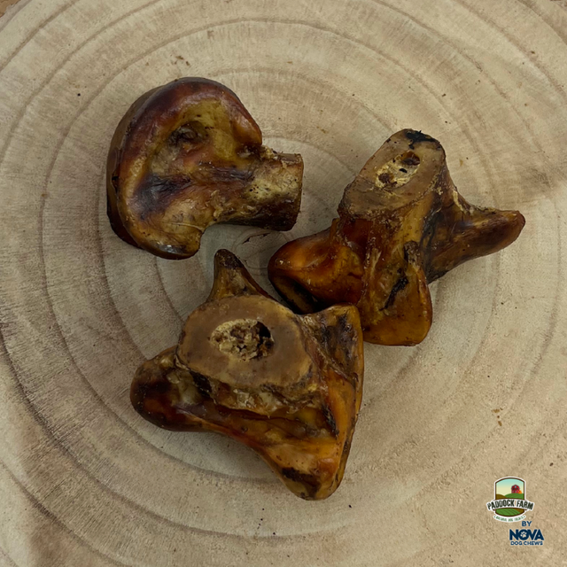 OSTRICH KNUCKLE SMALL