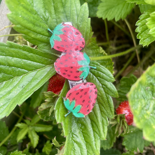 Pince crocodile pour cheveux Fraises 2