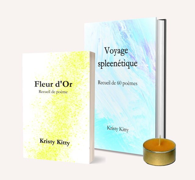 Coffret poésie &amp; flamme intérieure — “Voyage Spleenétique” &amp; “Fleur d’Or” + bougie artisanale