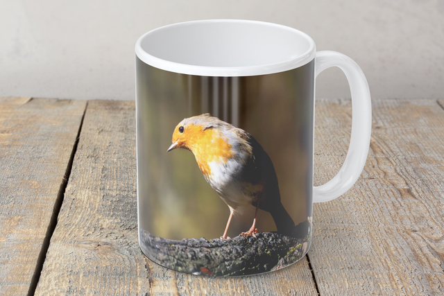 “Stunning Robin” Mug 