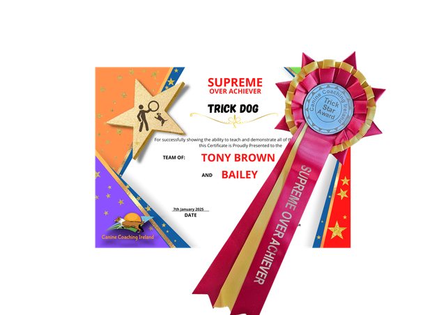 Supreme Over Achiever - Cert &amp; Rosette   