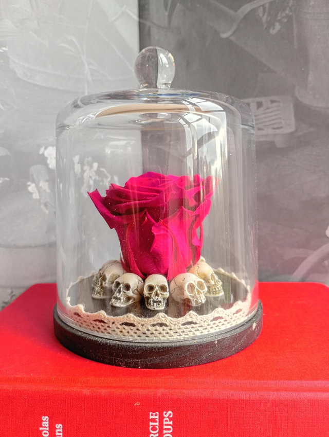 D08 Rose Violette sur crâne