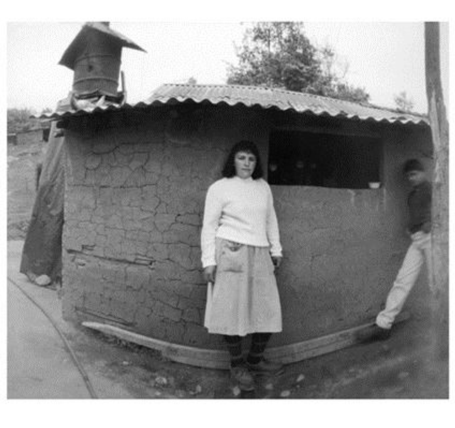 VERONICA SOTO CARVAJAL