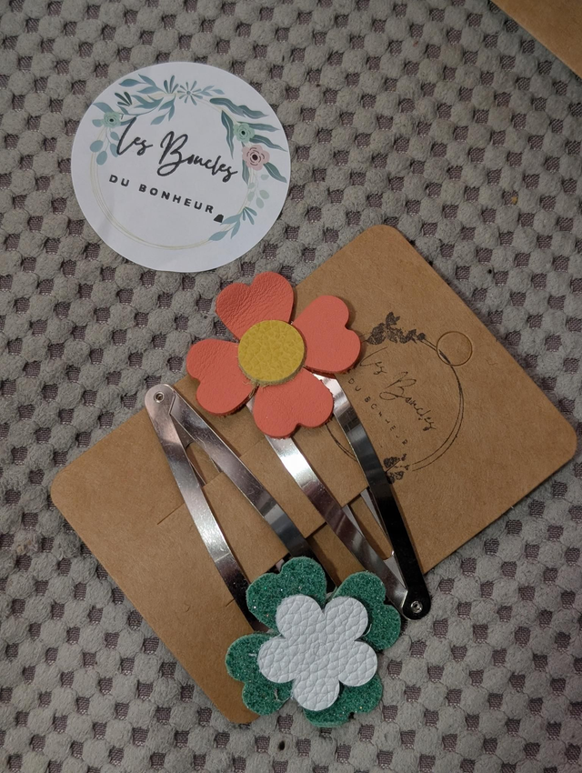 Barrette b005