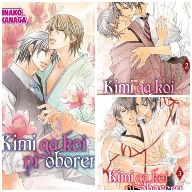 Kimi ga koi ni oboreru-intégrale 