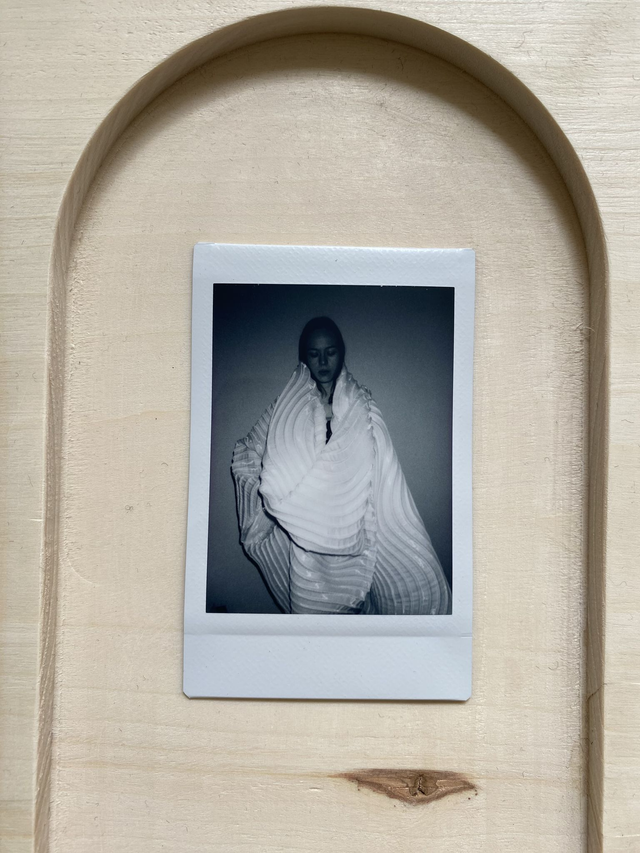 Dead Birds & Lionheart Instant Photo 1.