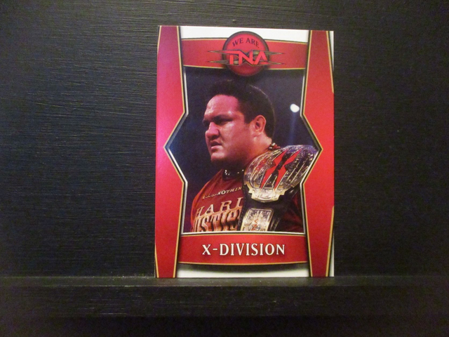 X-Division - We Are TNA Original Trading Card #T2