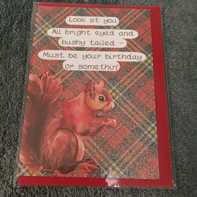 Red Squirrel, Bright Eyed and Bushy Tailed